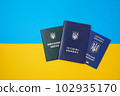 Ukrainian green military ID ticket. Translation 102935170