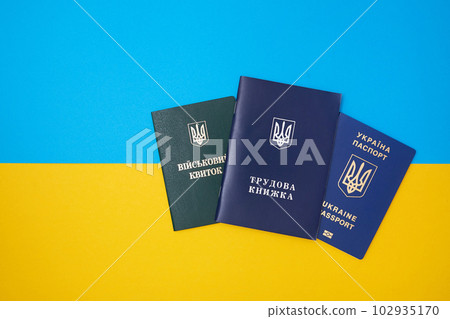Ukrainian green military ID ticket. Translation 102935170