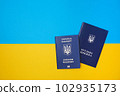 One Ukrainian employment history on the Ukrainian national flag in the top view. Translation 102935173