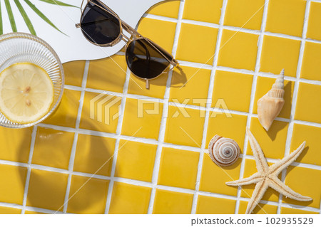 Summer concept with starfish, seashells, sunglasses and the reflection of tropical leaves on the mirror. Blank space could be used for cosmetic promotion 102935529