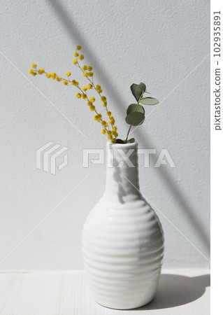 Mimosa and eucalyptus in a white vase 102935891