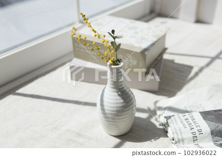 White vase, mimosa and eucalyptus on the windowsill White vase, mimosa and eucalyptus on the windowsill 102936022