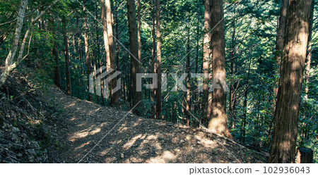 熊野古道一幕 102936043