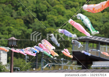 koinobori flown in the sky during children's day in japan koinobori flown in the sky during children's day in japan 102937014