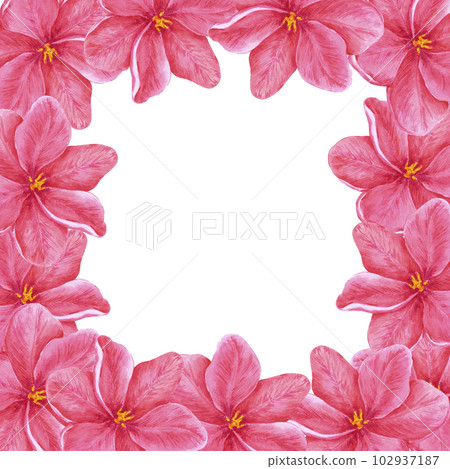 Hand drawn watercolor red tulips bouquet frame on white background. Scrapbook, post card, textile, invitation, album. 102937187