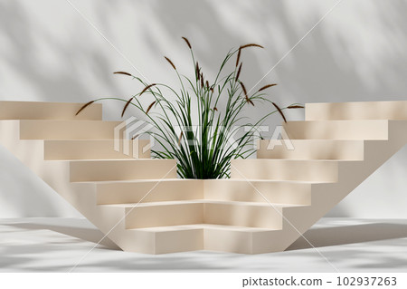 3d render beige stairways and reed grass on white background and natural shadow leaves. Abstract background for branding and minimal presentation. 3d render beige stairways and reed grass on white background and natural shadow leaves. Abstract background for branding and minimal presentation. 102937263