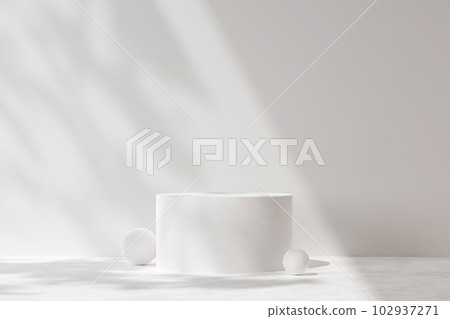 Minimal scene backdrop with clean design, 3d rendering on white round empty podium on white background with natural shadow leaves. Empty space for display product and design. Minimal scene backdrop with clean design, 3d rendering on white round empty podium on white background with natural shadow leaves. Empty space for display product and design. 102937271
