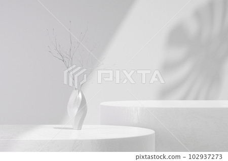 Minimal scene with podium and abstract background, a white porcelain vase containing dried twigs, in white background and natural shade of leaves. Pedestal for product presentation 102937273