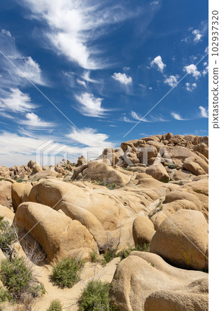 Joshua Tree National Park Joshua Tree National Park 102937320