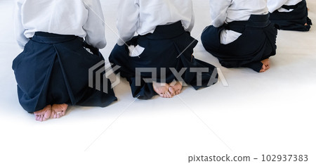 People practicing aikido in a dojo background. 102937383