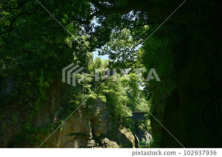 Kai no Saruhashi Bridge and the Katsura River Valley with Aqueduct Bridge 102937936