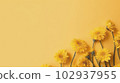 Banner with daisies. Generative AI. 102937955