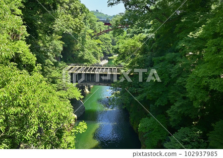 橫跨界之猿橋下游渡槽的桂川流域新建猿橋 橫跨界之猿橋下游渡槽的桂川流域新建猿橋 102937985