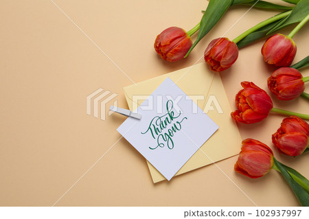 World Women's Day, composition with text Thank you World Women's Day, composition with text Thank you 102937997