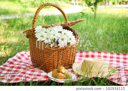 Spending time in nature - picnic, accessories for picnic 102938115