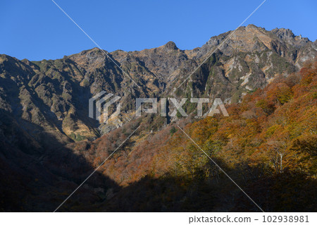 Autumn leaves of Machigasawa on Mt. Tanigawa 102938981