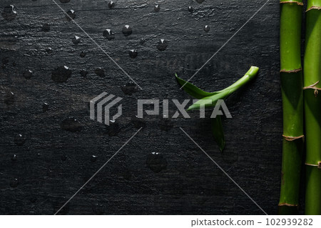 Concept of tropical and summer plant - bamboo Concept of tropical and summer plant - bamboo 102939282