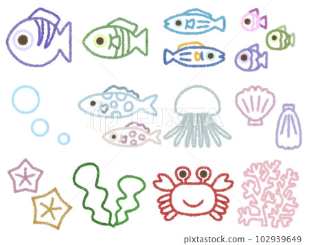 Sea creatures set F colorful contour Sea creatures set F colorful contour 102939649