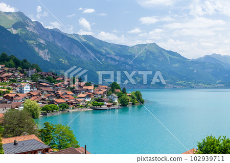Panoramic view of lake, countryside, green alpine meadows and mountains Panoramic view of lake, countryside, green alpine meadows and mountains 102939711