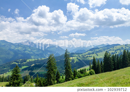 Panoramic view of green alpine meadows and mountains Panoramic view of green alpine meadows and mountains 102939712