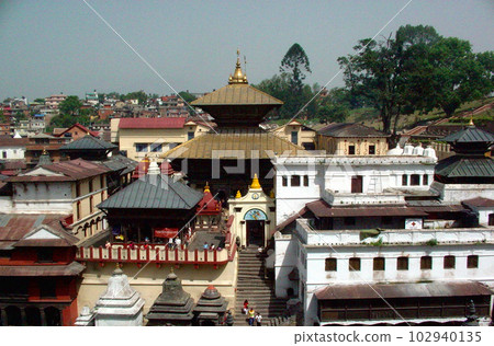 尼泊爾加德滿都帕斯帕提那神廟 尼泊爾加德滿都帕斯帕提那神廟 102940135