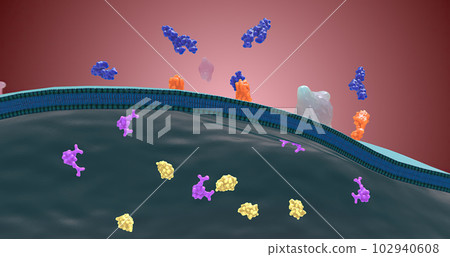 Platelet activation and aggregation play an important role in occlusive vascular events 102940608