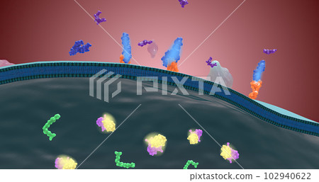 Platelet activation and aggregation play an important role in occlusive vascular events 102940622