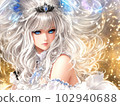 光輝王國公主插畫 102940688