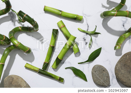 Concept of tropical and summer plant - bamboo Concept of tropical and summer plant - bamboo 102941097