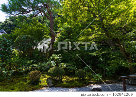 Summer in Kyoto Saga-Arashiyama Nison-in with lush greenery Summer in Kyoto Saga-Arashiyama Nison-in with lush greenery 102941209