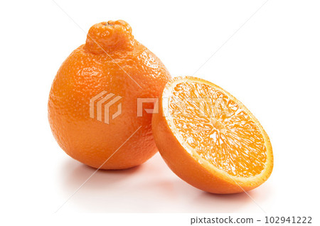 American citrus mineola 102941222