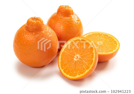 American citrus mineola American citrus mineola 102941223