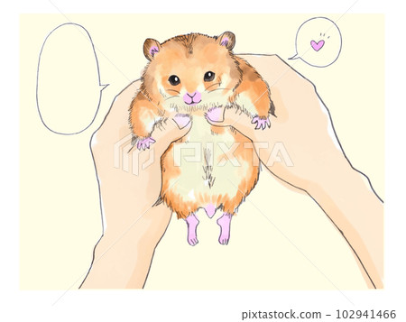 A word from Hamster A word from Hamster 102941466