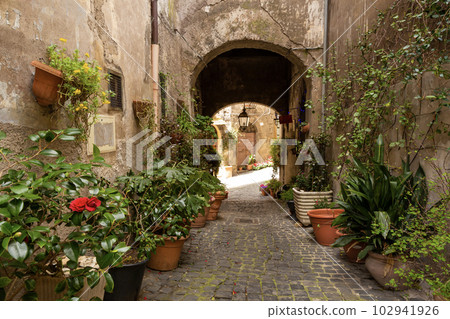 Street in old town of Ronciglione in Lazio, Italy Street in old town of Ronciglione in Lazio, Italy 102941926