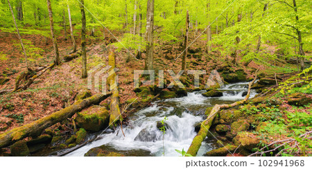 river in the woods among trees. countryside scenery in spring. beauty in nature 102941968