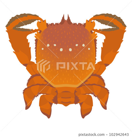 Asahi crab illustration Asahi crab illustration 102942643