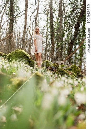 Snowdrops galanthus blonde. A girl in a white dress stands on a meadow with snowdrops in a spring forest Snowdrops galanthus blonde. A girl in a white dress stands on a meadow with snowdrops in a spring forest 102942689