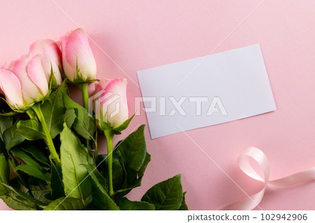 Image of pink tulips with ribbon and card with copy space on pink background 102942906