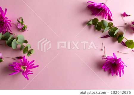 Image of pink flowers with copy space on pink background 102942926