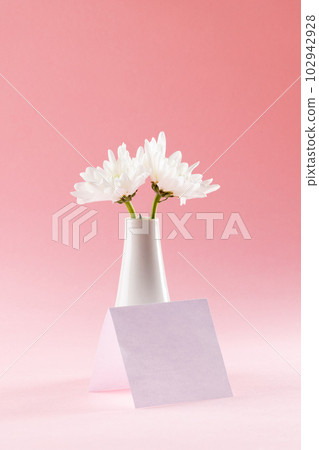 Image of white flowers in white vase and card with copy space on pink background 102942928
