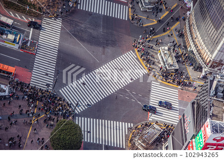 Scenery in Tokyo 102943265