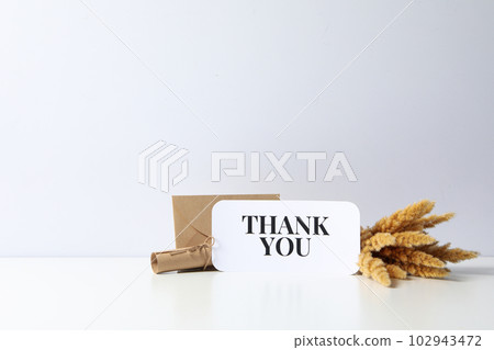 Words of gratitude, gratitude concept, text Thank you 102943472