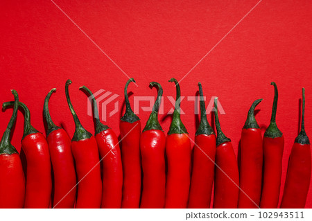 Concept of hot and spicy ingredients - red hot chili pepper 102943511