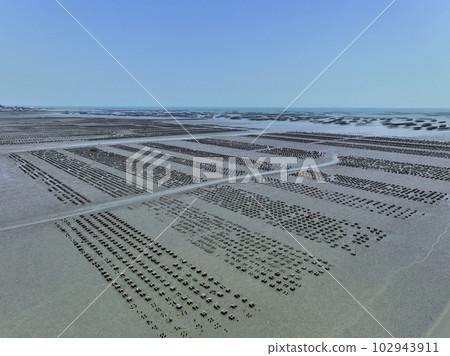 Aerial view of Oyster farm. Sustainable farming. Oyster farming is an aquaculture practice. Oyster farming at Ang Sila town, Chonburi, Thailand. Landscape oyster beds at low tide on summer sunny day. 102943911