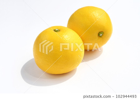 柑橘（日向夏） 102944493