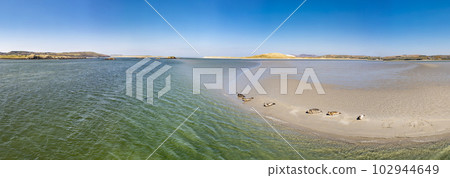 Seals swimming and and resting at Gweebarra bay - County Donegal, Ireland 102944649