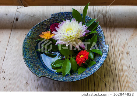 夏天在京都嵯峨嵐山 Nison-in 寺廟與鬱鬱蔥蔥的綠色植物花碗 102944928