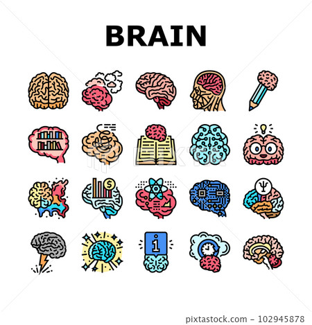 brain human mind head idea icons set vector 102945878