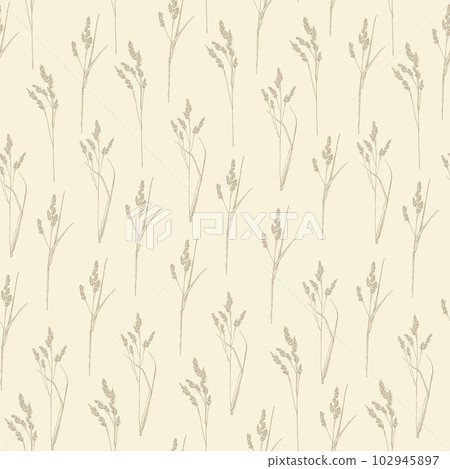 Botanical sketch with grass seamless pattern. Wild field grains 102945897