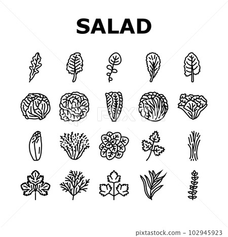 salad food healthy green fresh icons set vector salad food healthy green fresh icons set vector 102945923